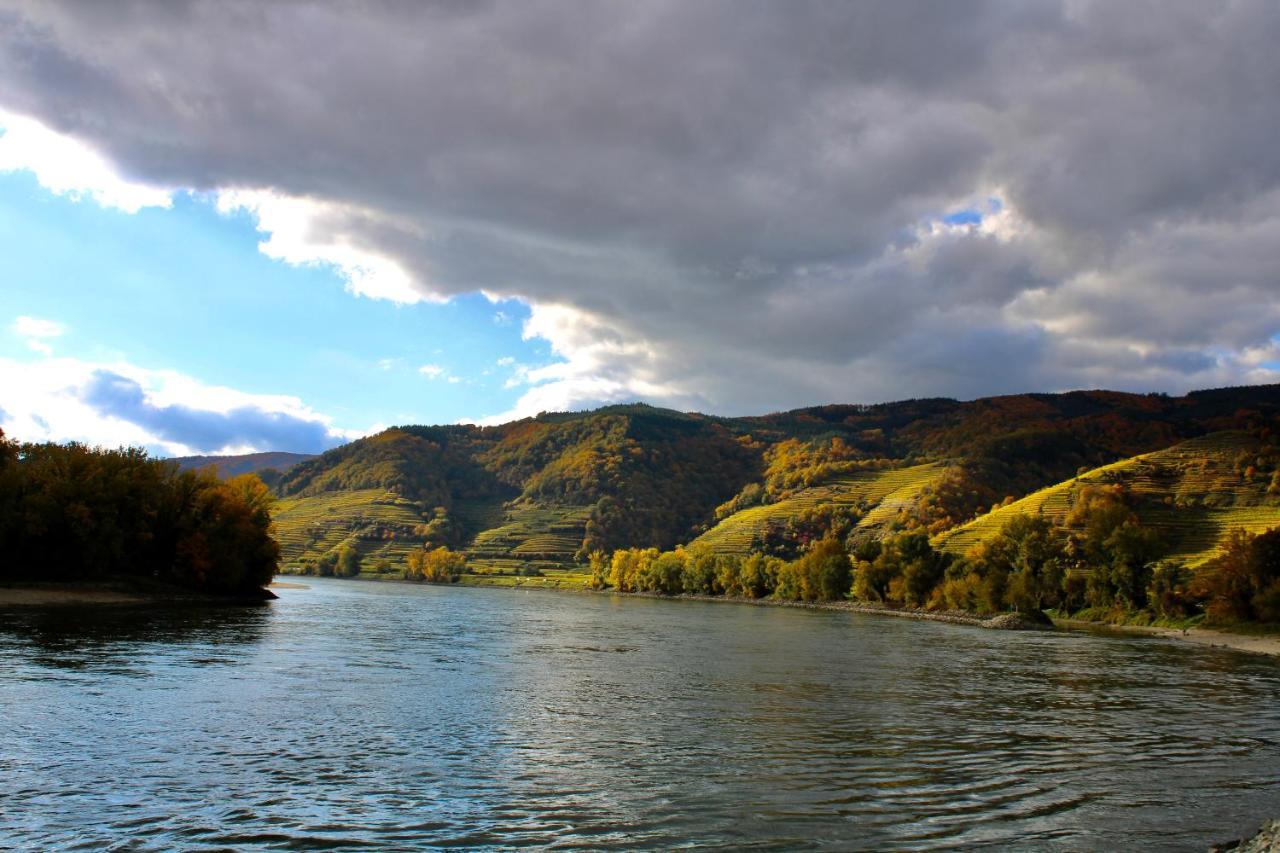 Appartement Haus-Donau In Der Wachau à Aggsbach Extérieur photo