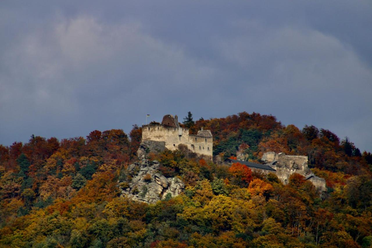 Appartement Haus-Donau In Der Wachau à Aggsbach Extérieur photo
